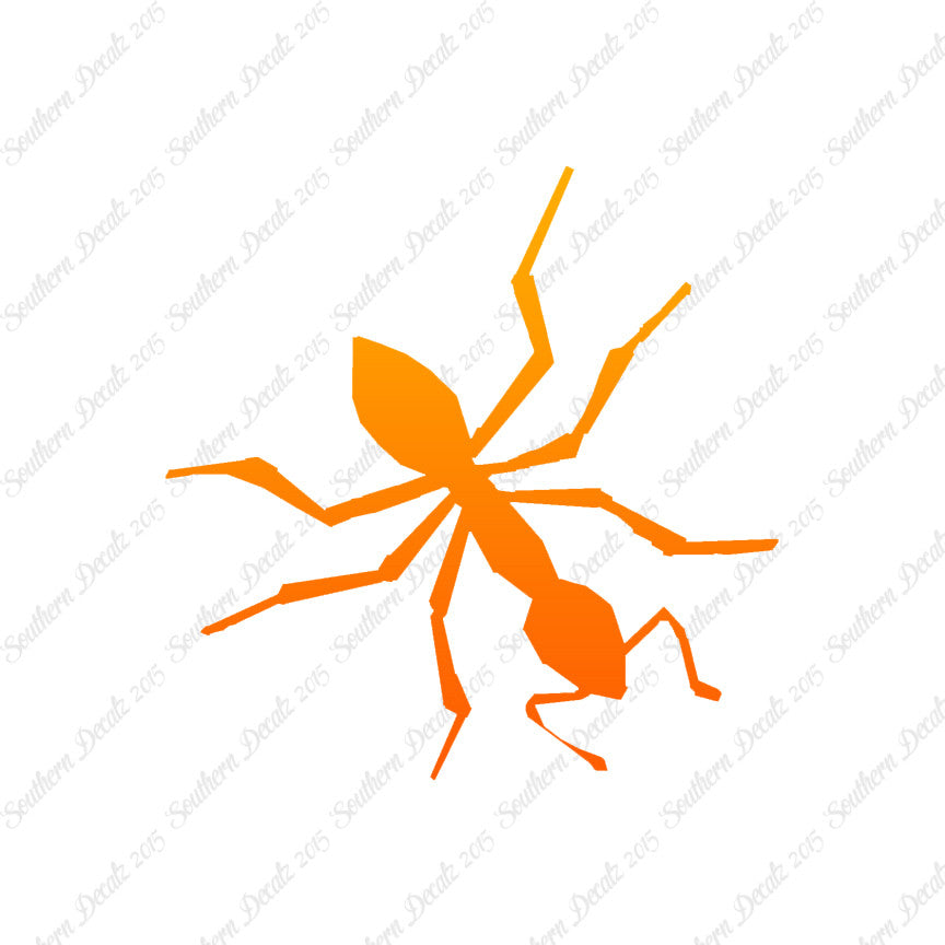 Insect Ant Pest