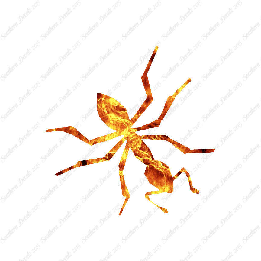 Insect Ant Pest