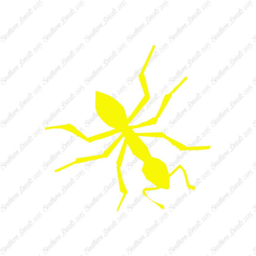 Insect Ant Pest