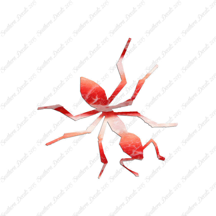 Insect Ant Pest