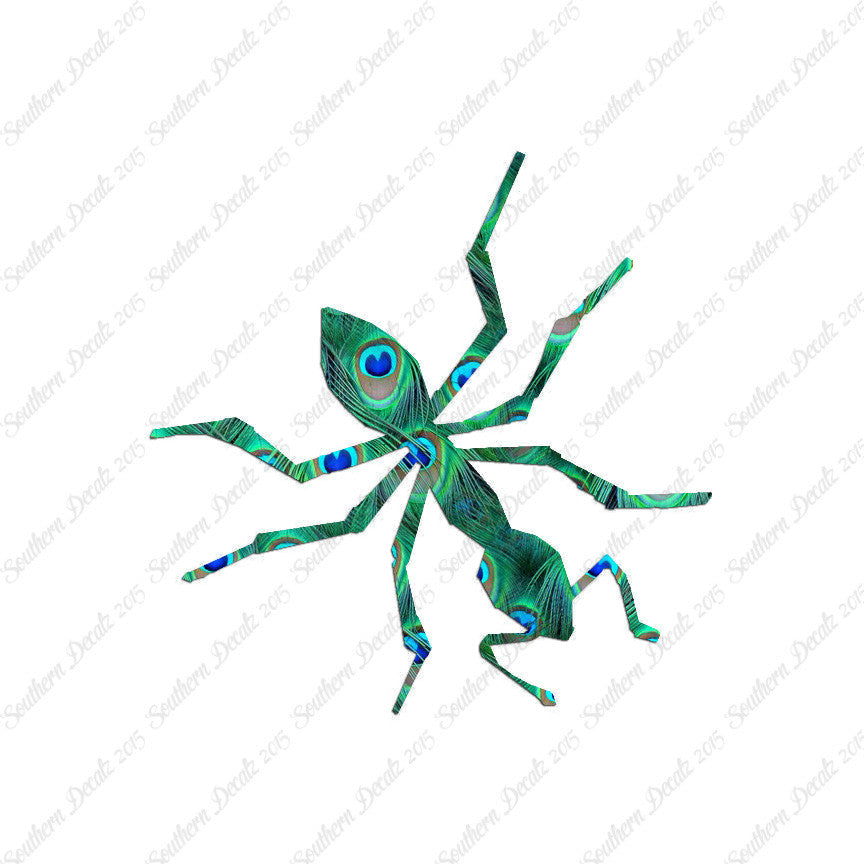 Insect Ant Pest