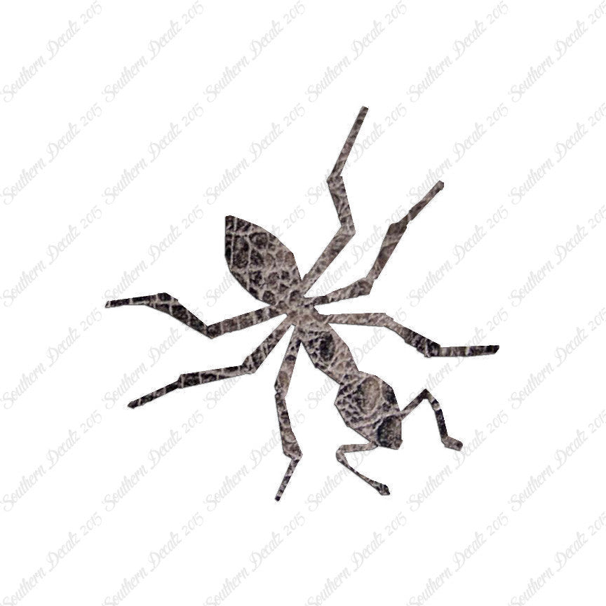 Insect Ant Pest