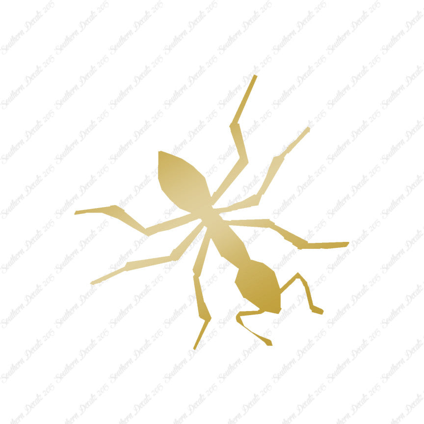 Insect Ant Pest