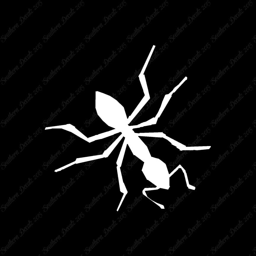 Insect Ant Pest