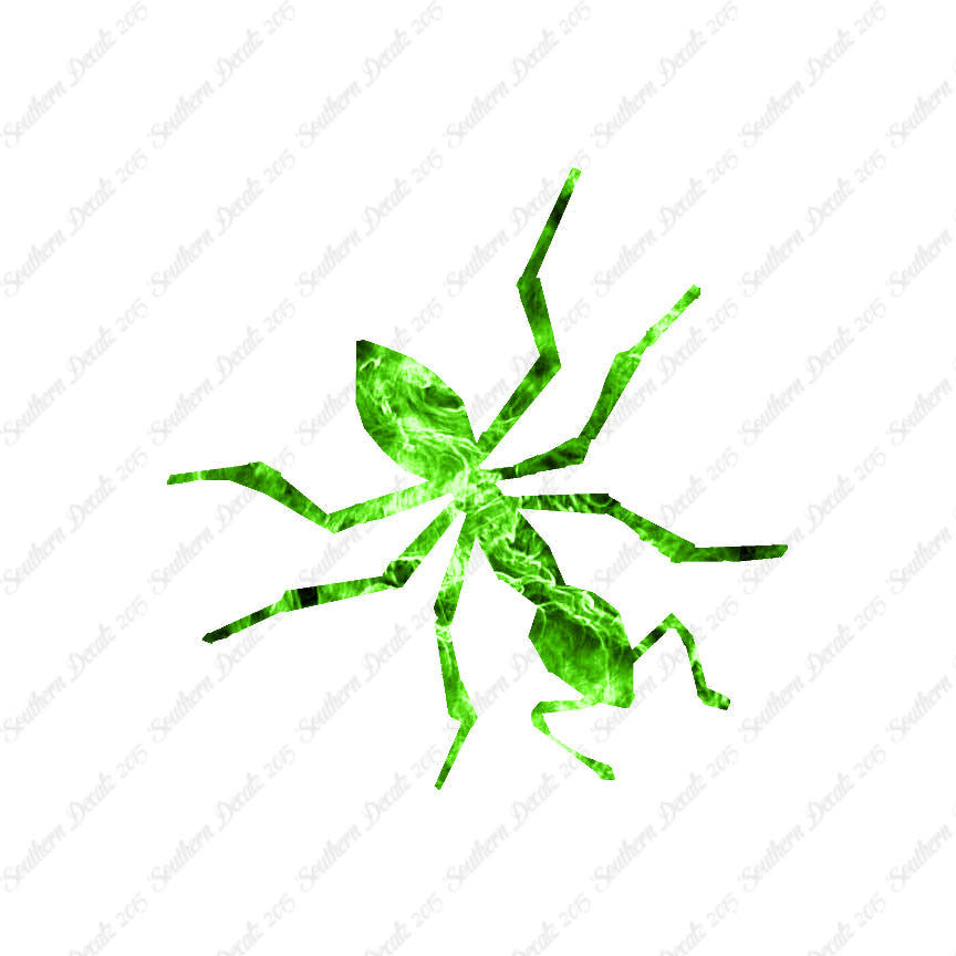Insect Ant Pest