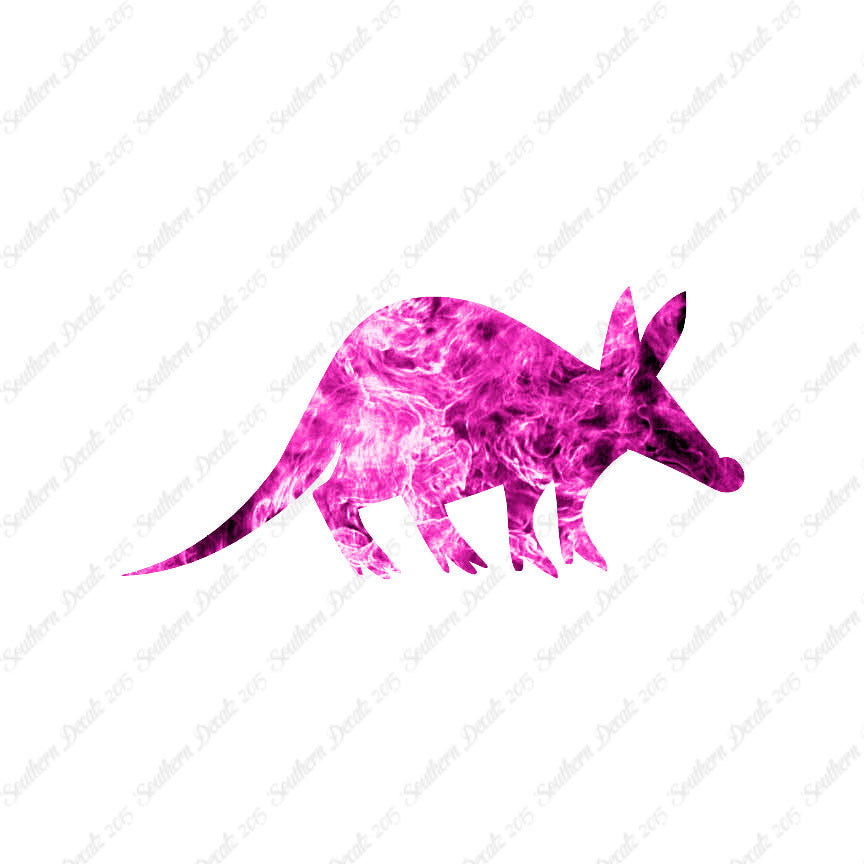 Aardvark Anteater