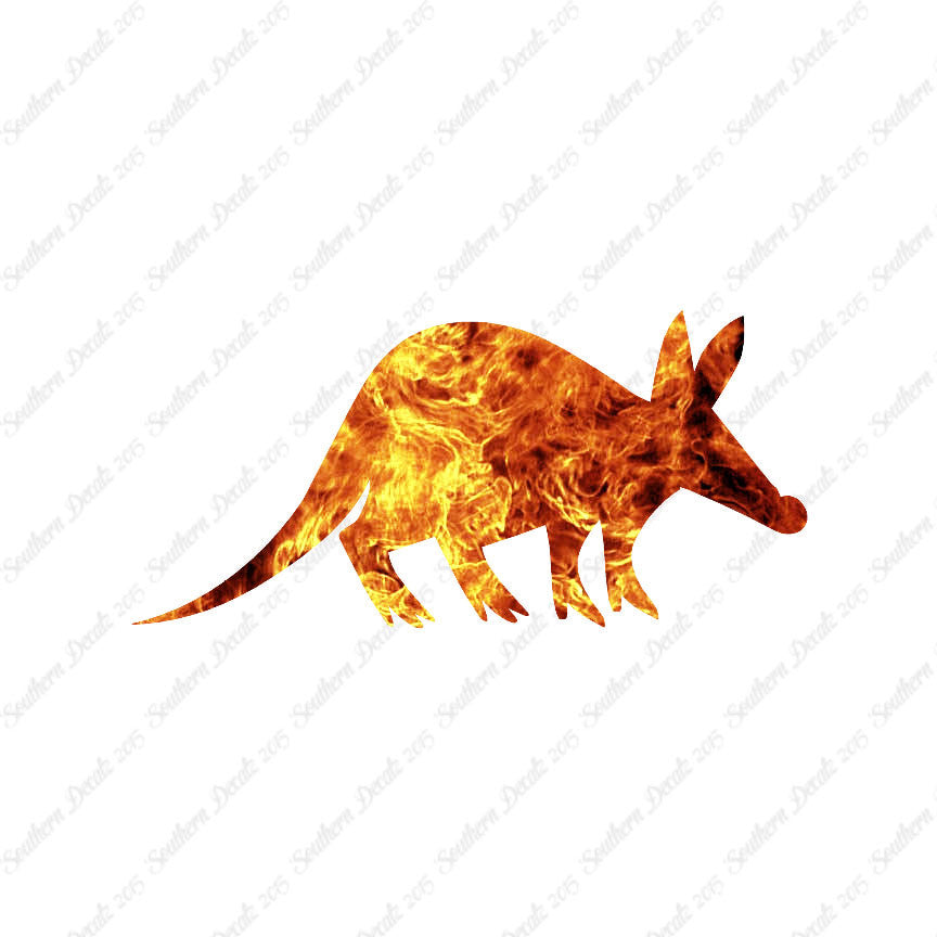 Aardvark Anteater