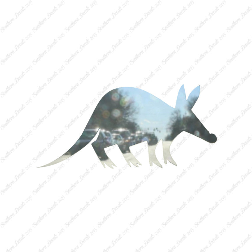 Aardvark Anteater
