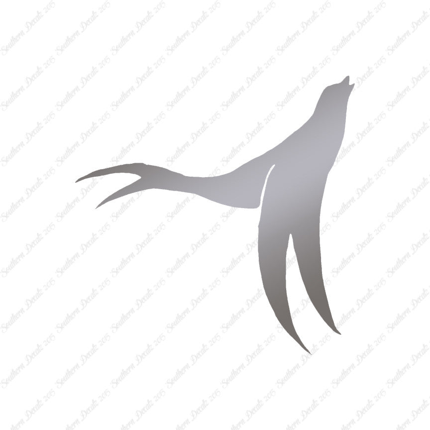 Seal Sea Lion