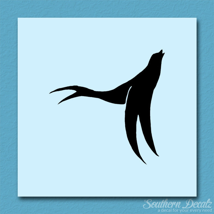 Seal Sea Lion