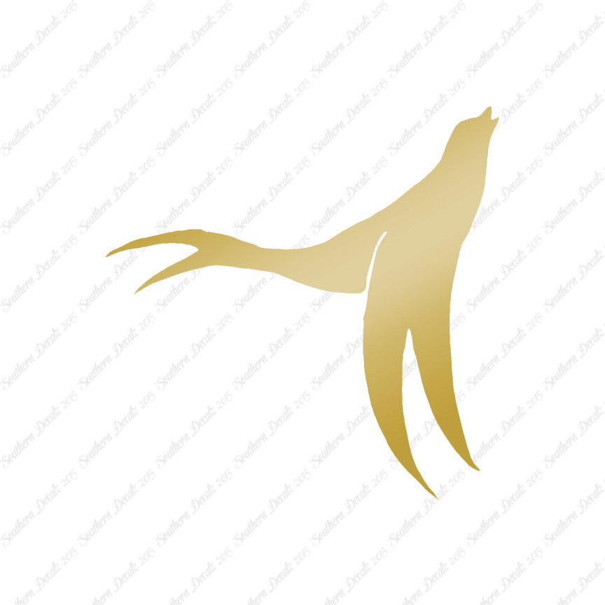 Seal Sea Lion