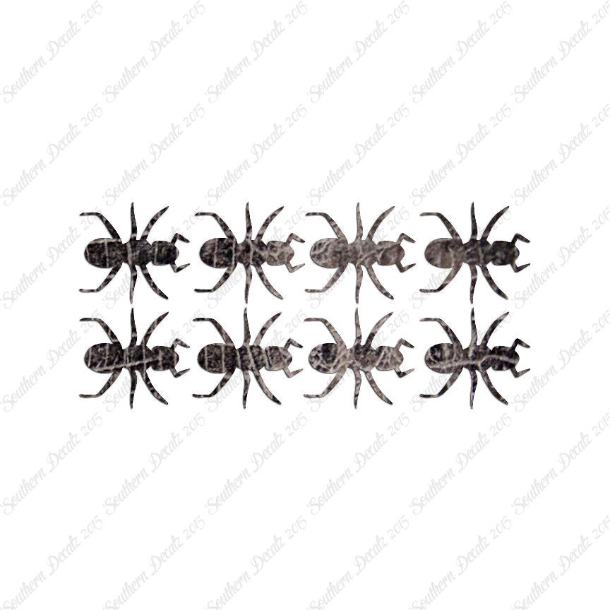Eight Ants Insect