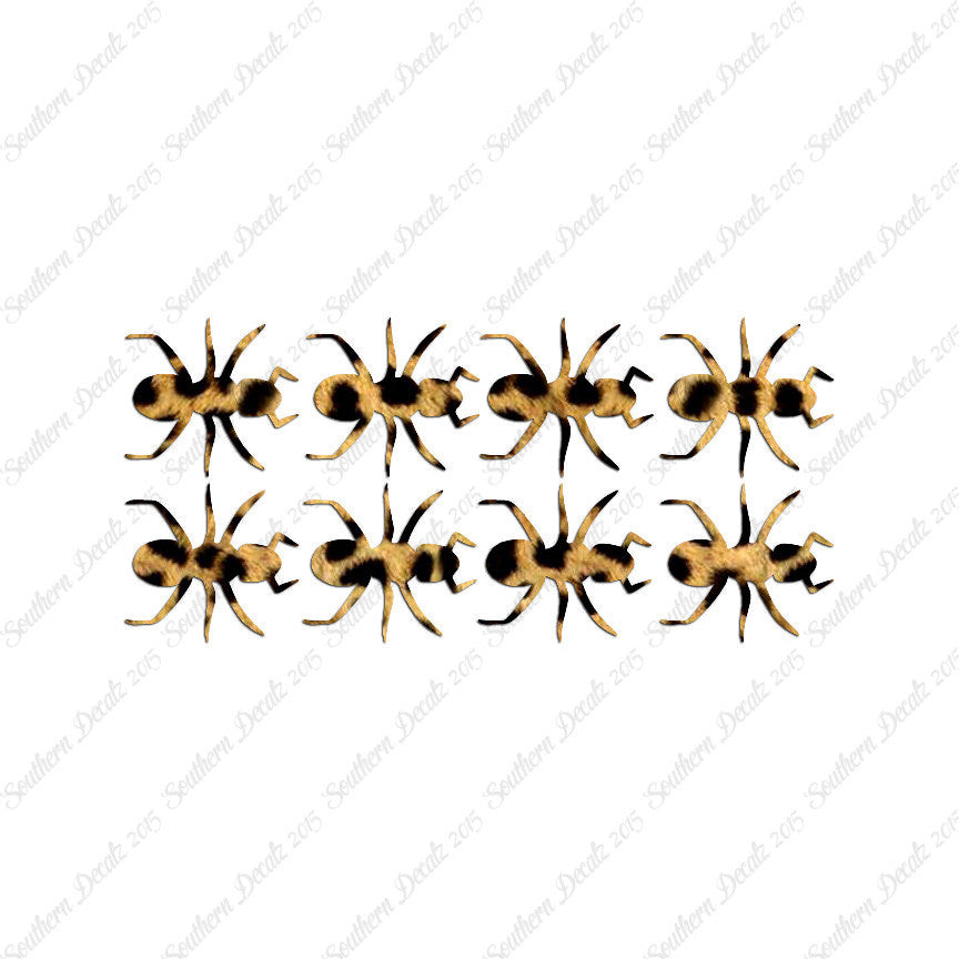 Eight Ants Insect