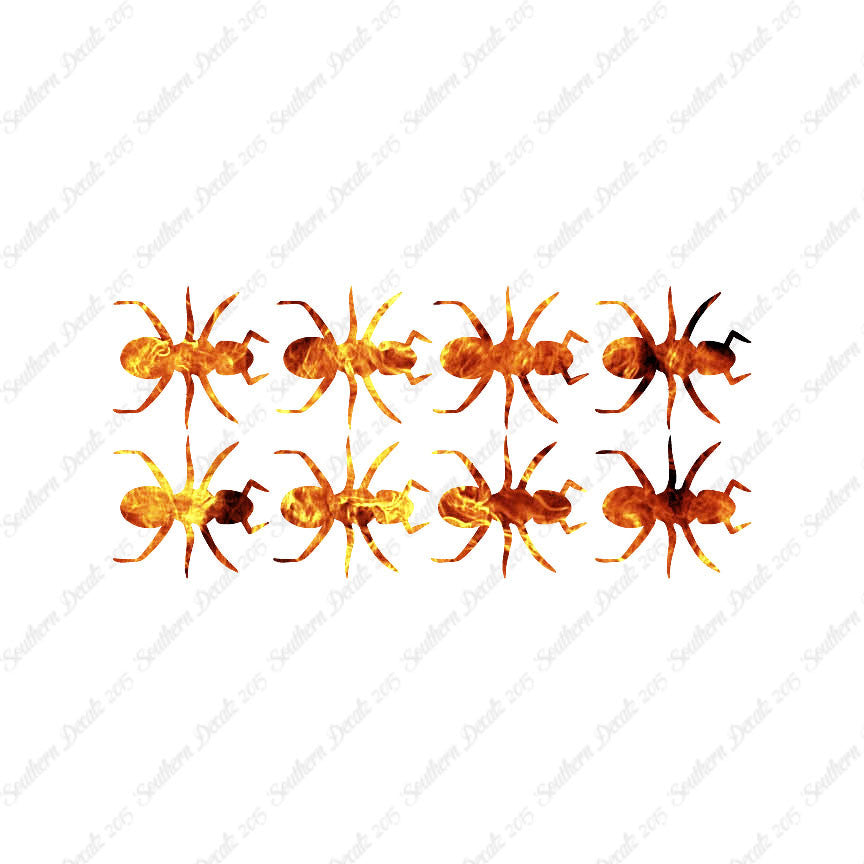 Eight Ants Insect