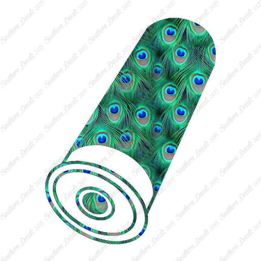 Shotgun Shell Casing