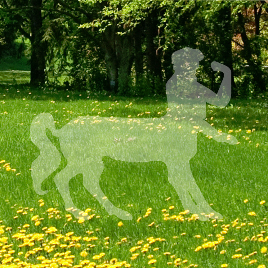 Centaur Fantasy