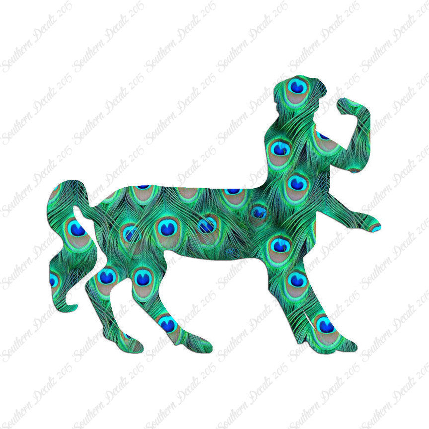 Centaur Fantasy