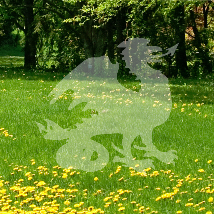 Cockatrice Fantasy Crest