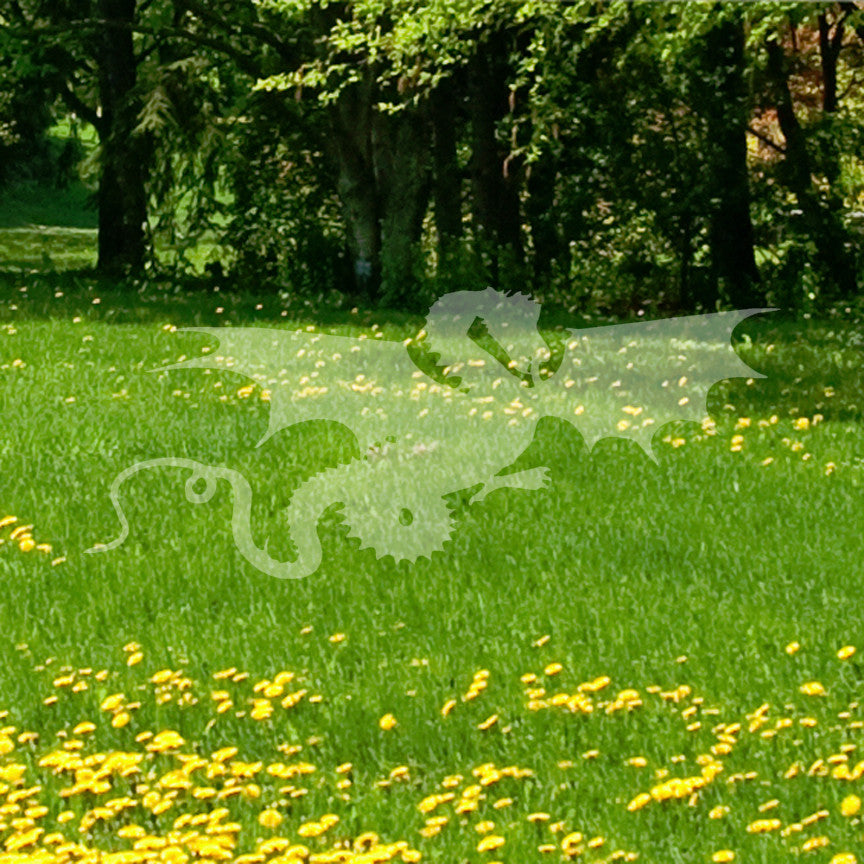 Dragon Fantasy Mythological