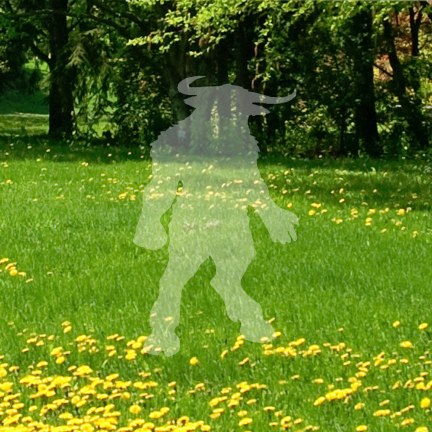 Minotaur Fantasy