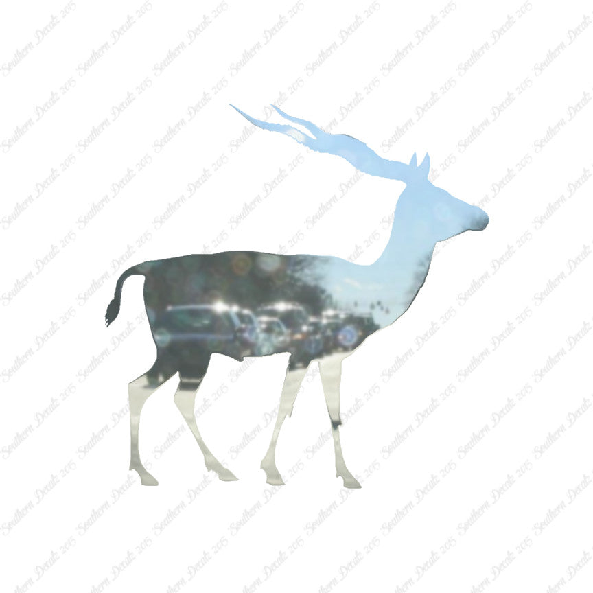 Antelope Impala Gazelle