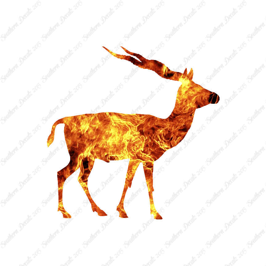 Antelope Impala Gazelle
