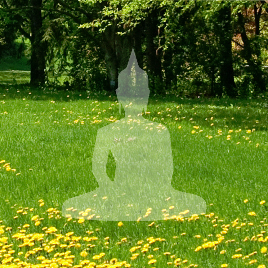 Sitting Buddha