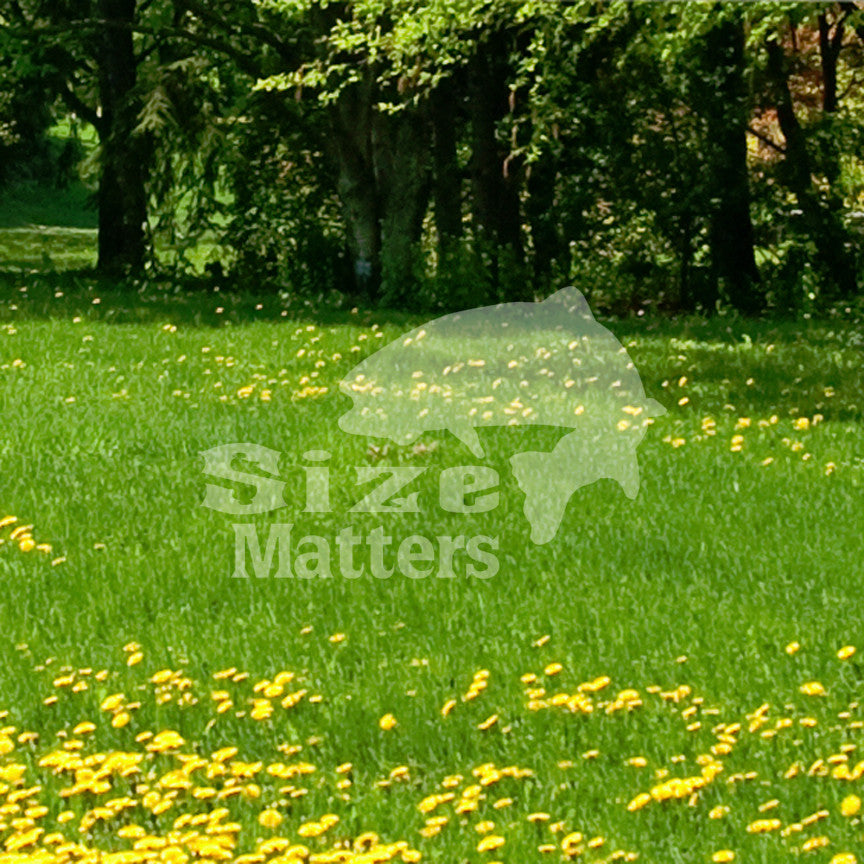 Size Matters Fishing