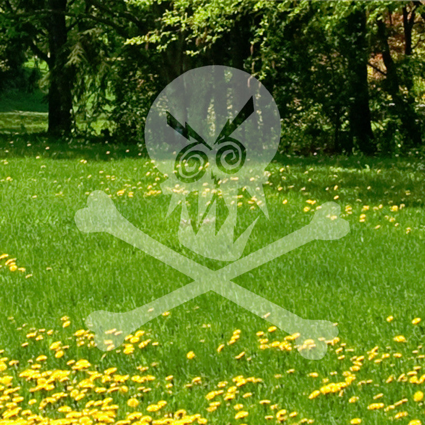 Angry Skull Crossbones