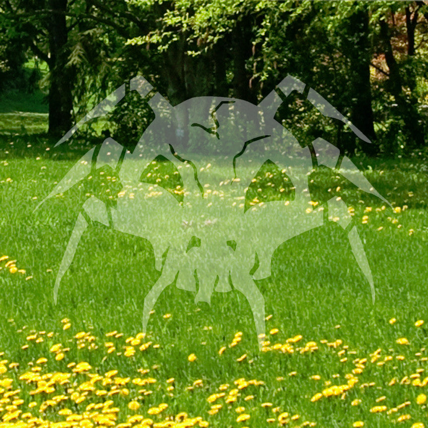 Skull Spider