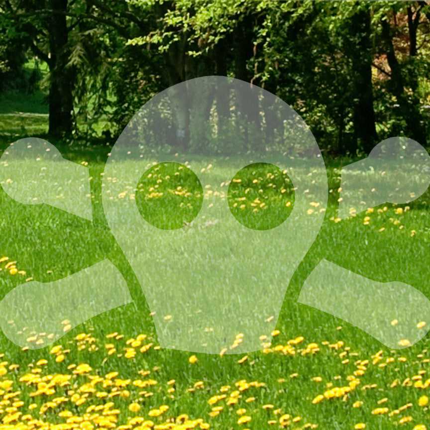 Skull Crossbones Cute