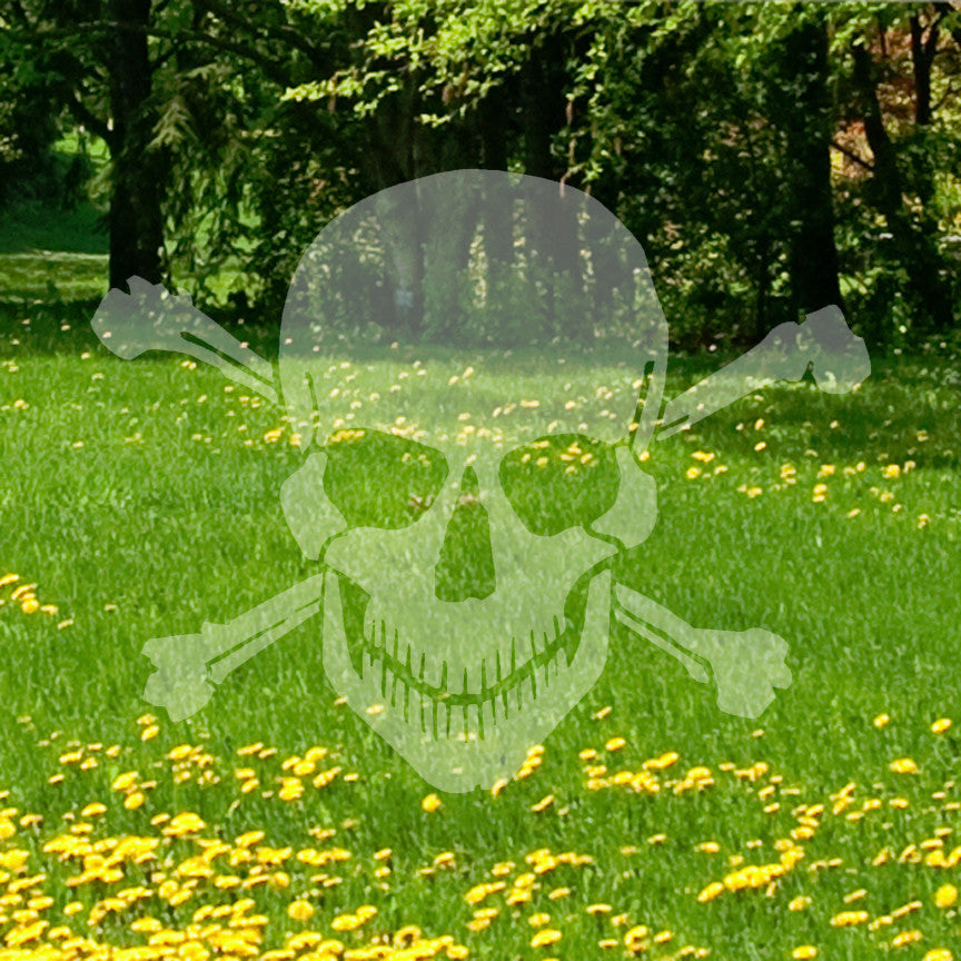 Smiling Skull Crossbones