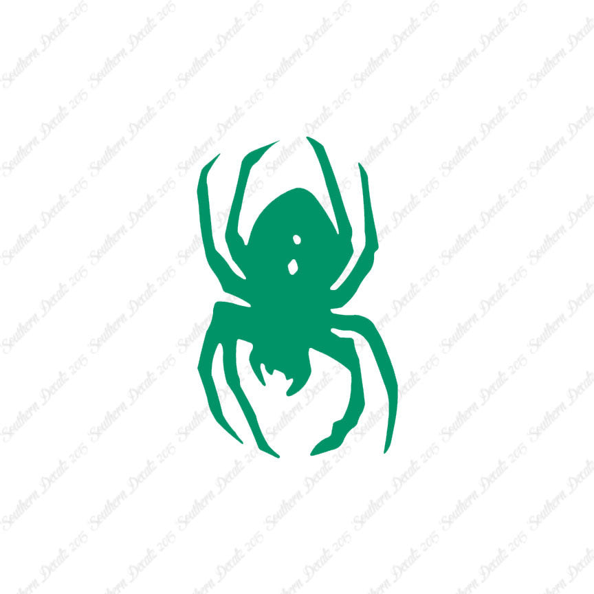 Black Widow Spider