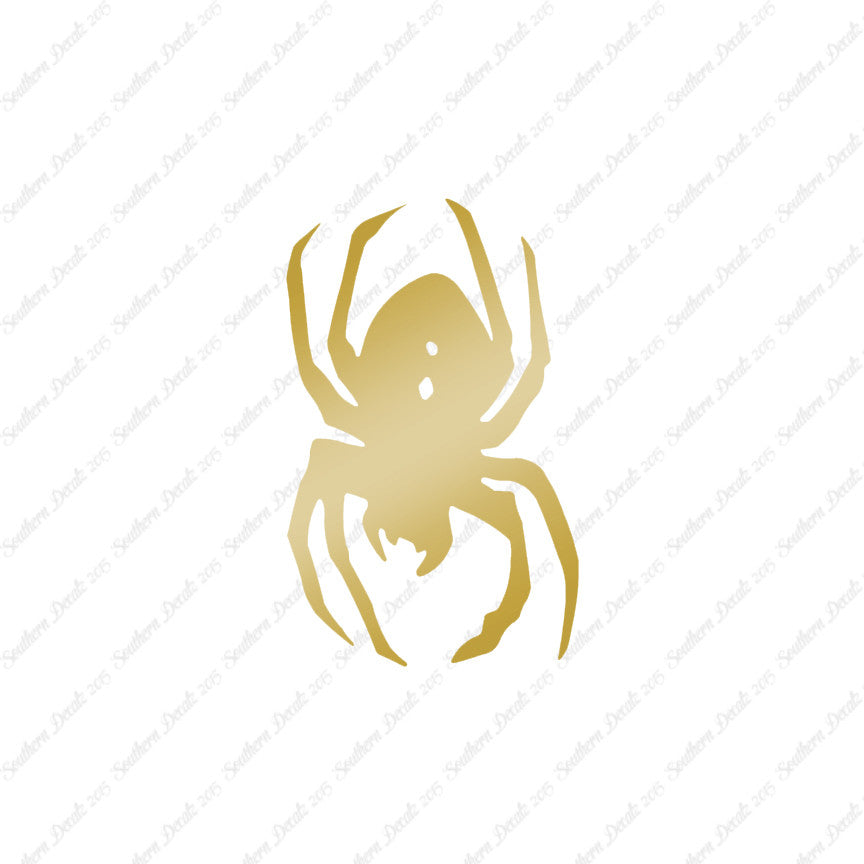 Black Widow Spider