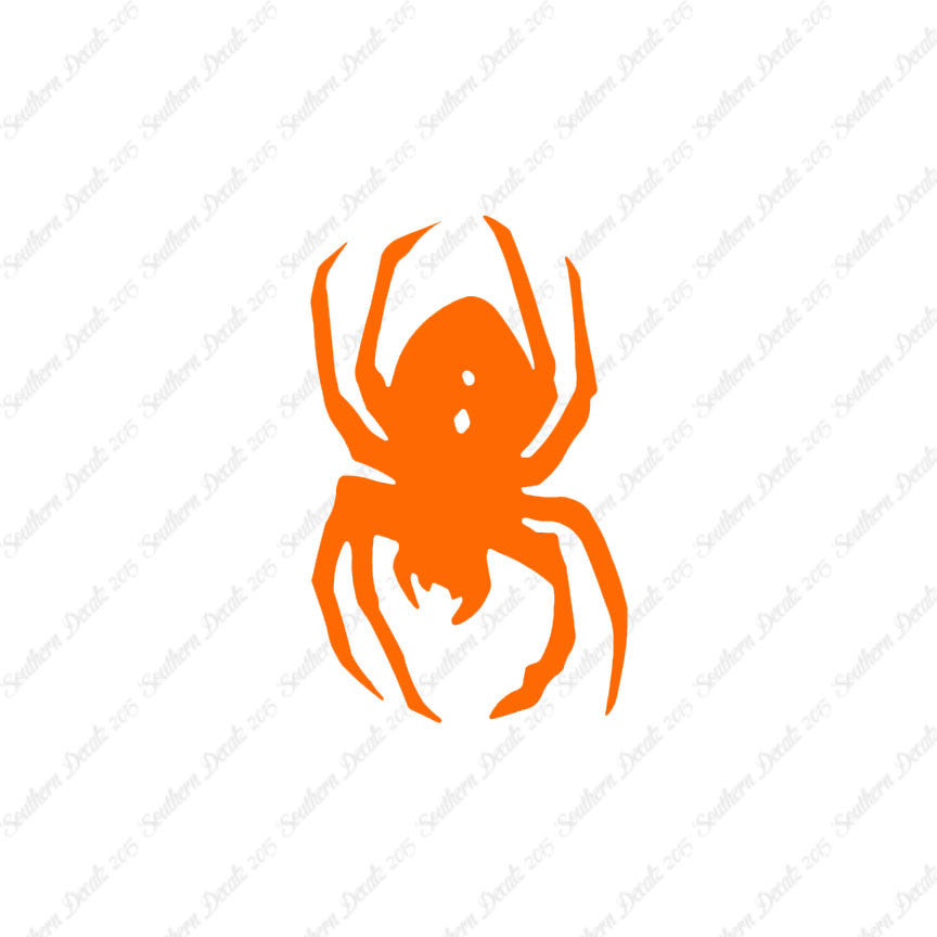 Black Widow Spider