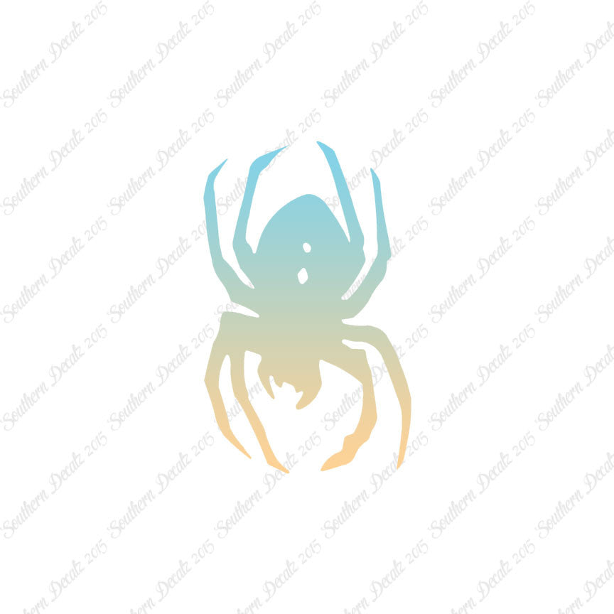 Black Widow Spider