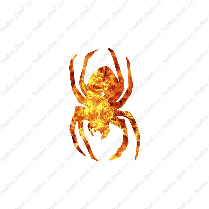 Black Widow Spider