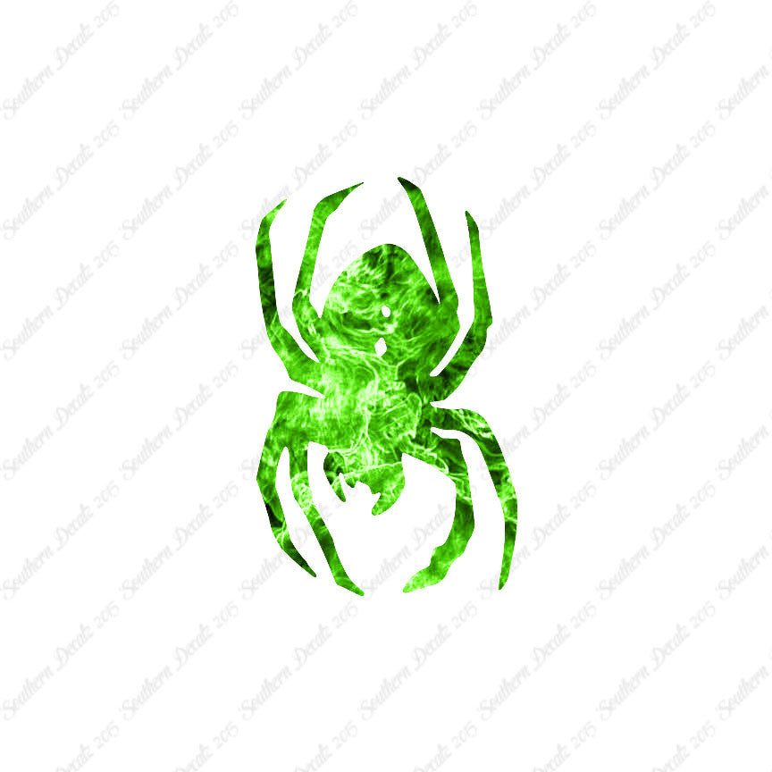 Black Widow Spider