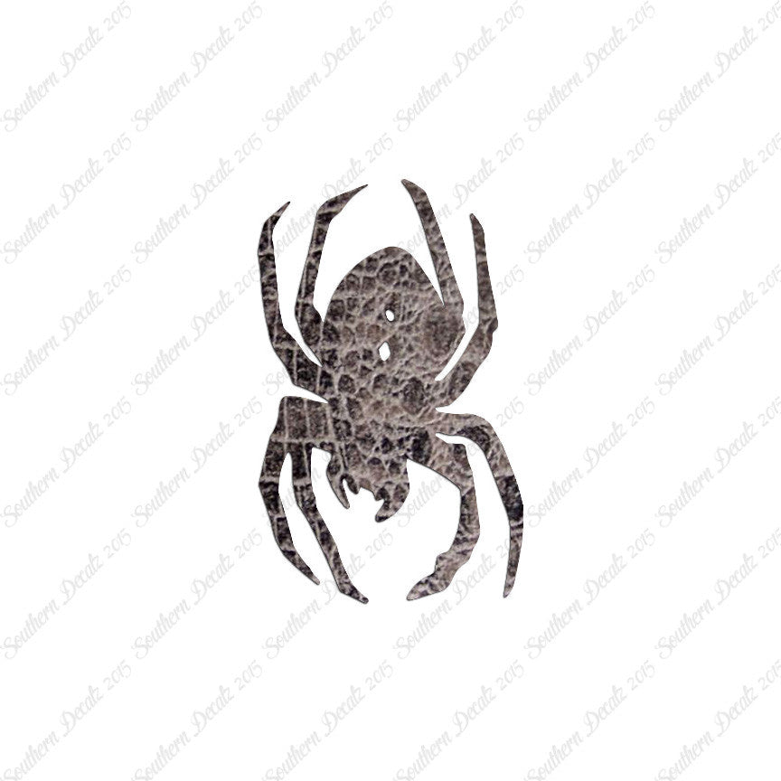 Black Widow Spider