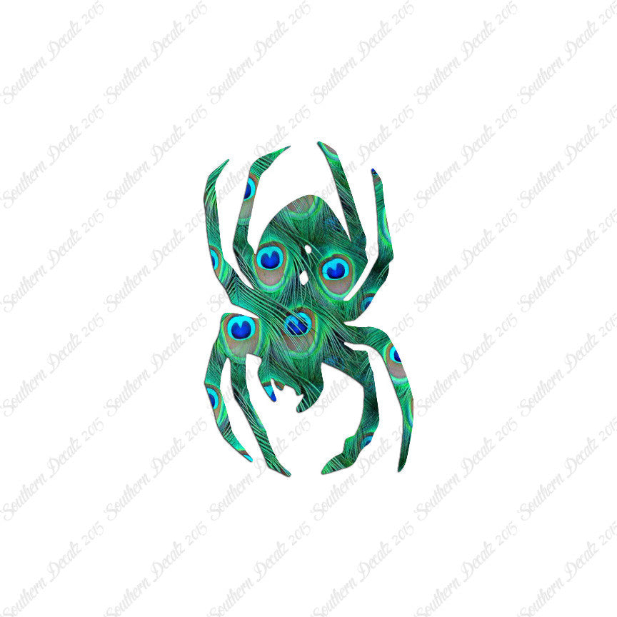 Black Widow Spider