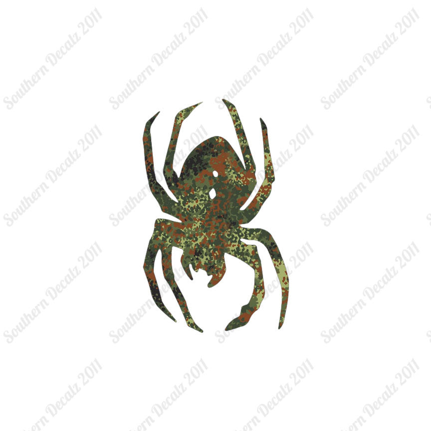 Black Widow Spider