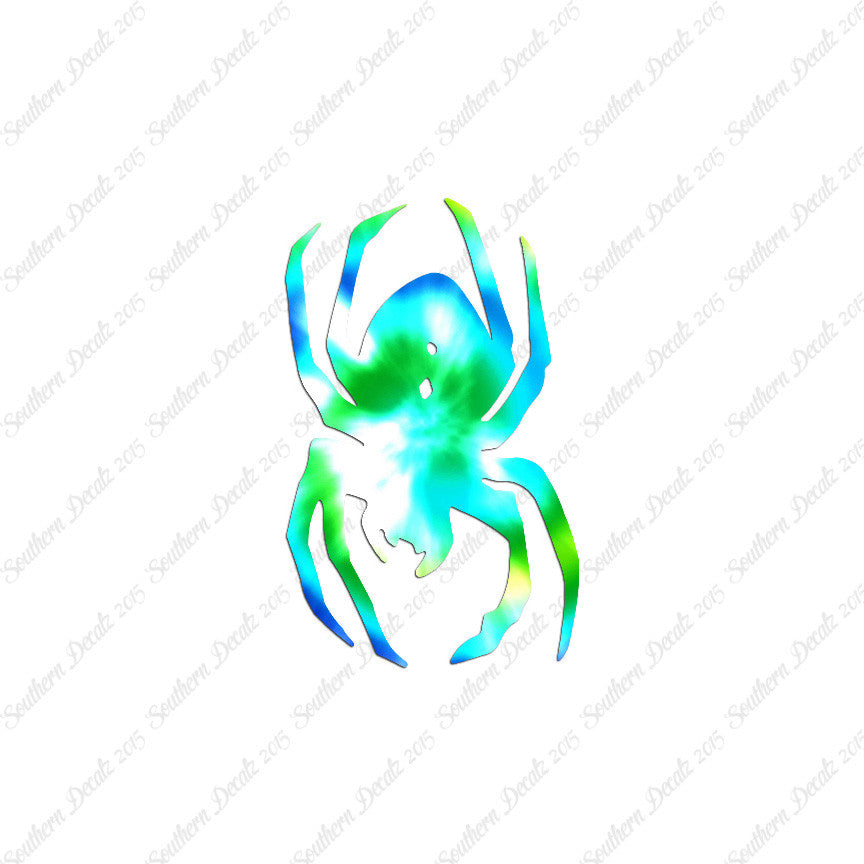 Black Widow Spider