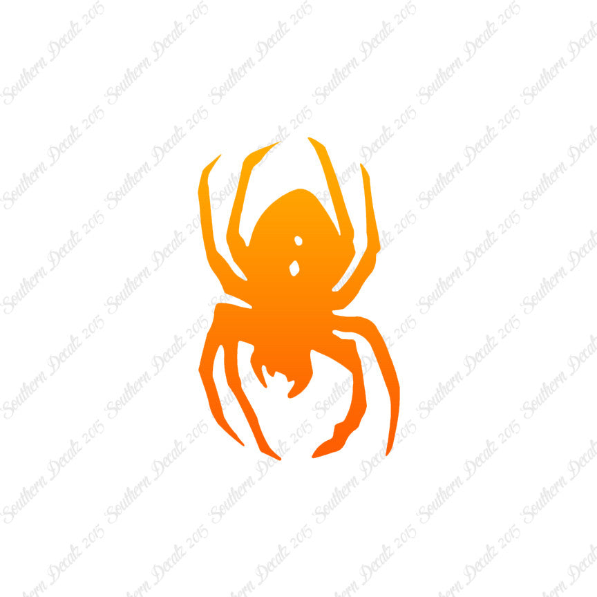 Black Widow Spider