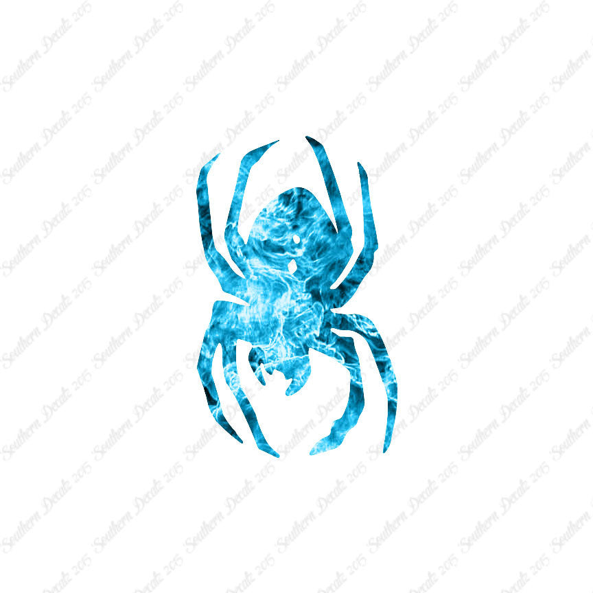 Black Widow Spider