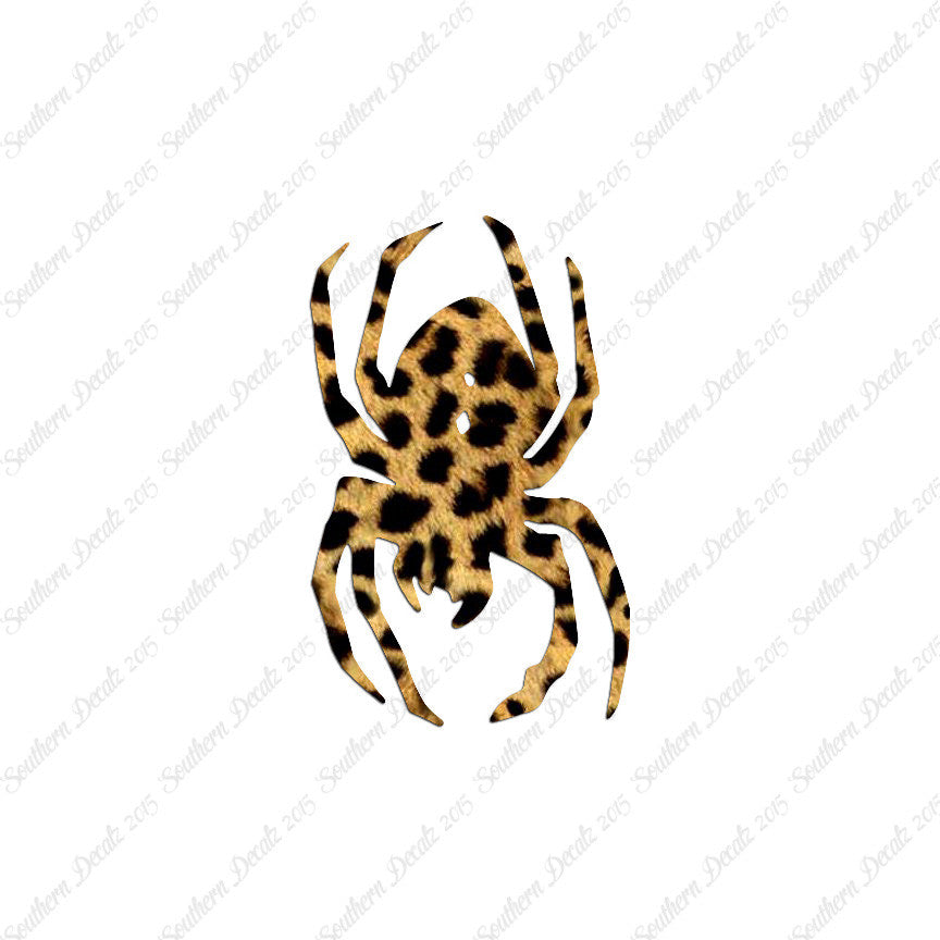 Black Widow Spider