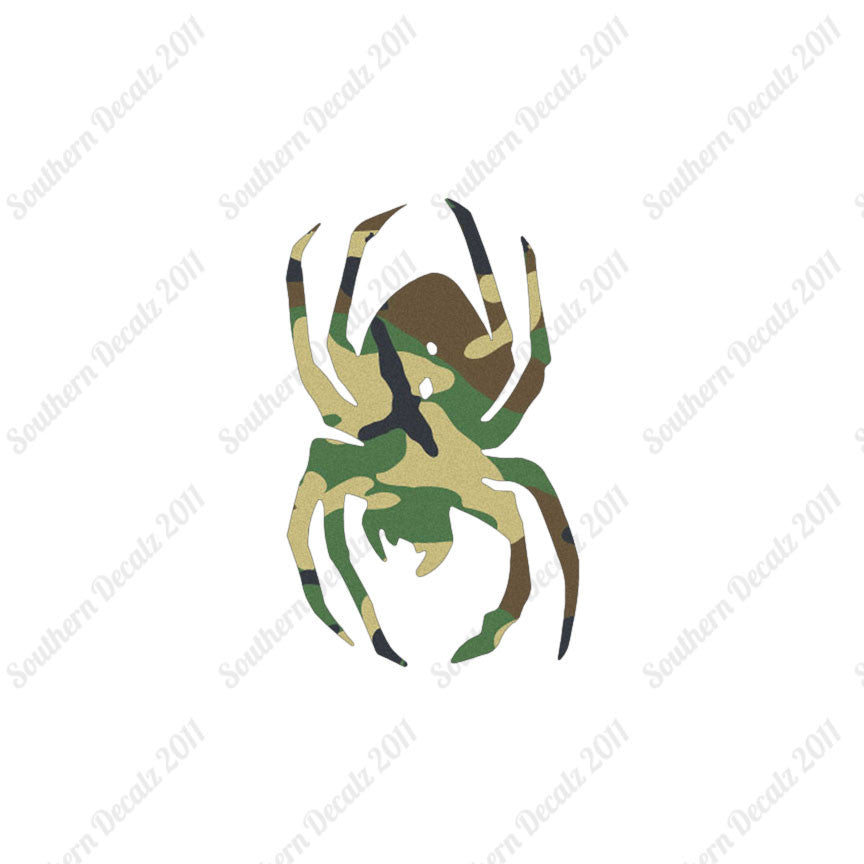 Black Widow Spider