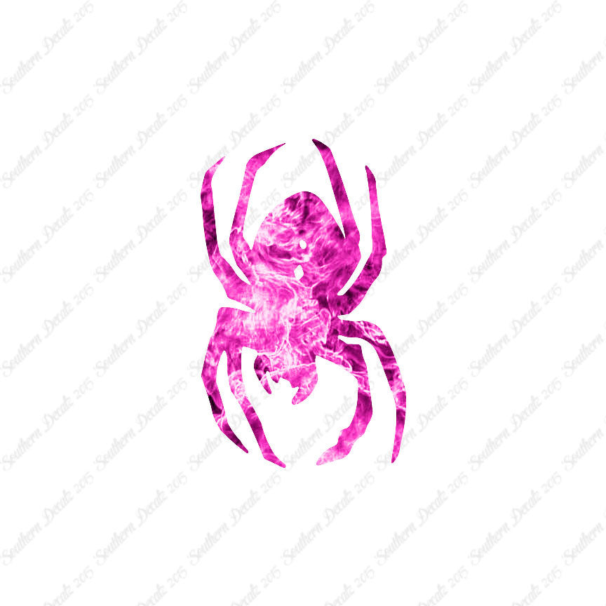 Black Widow Spider