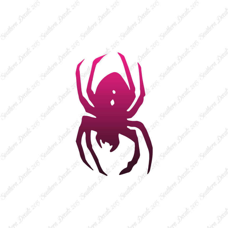 Black Widow Spider