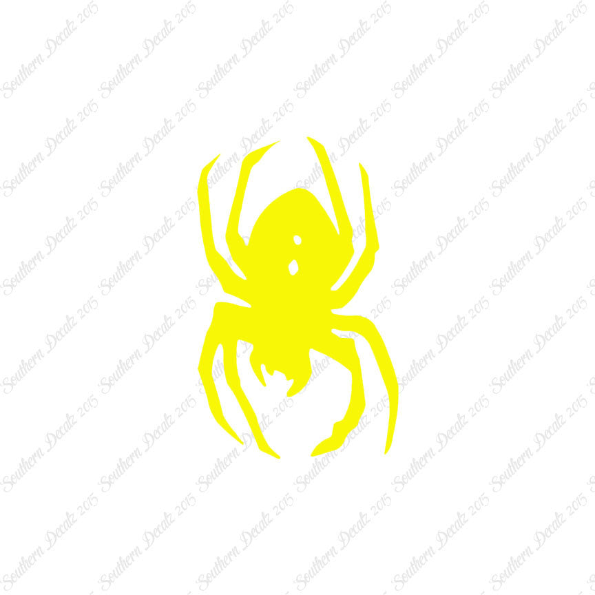 Black Widow Spider