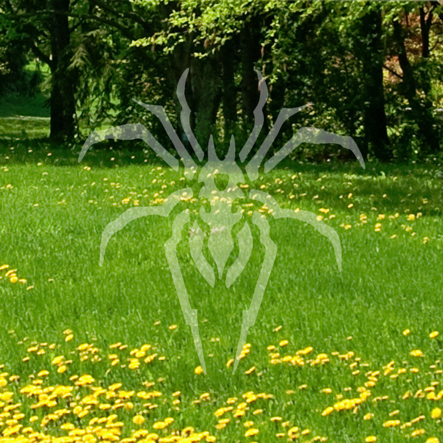 Tribal Spider Art